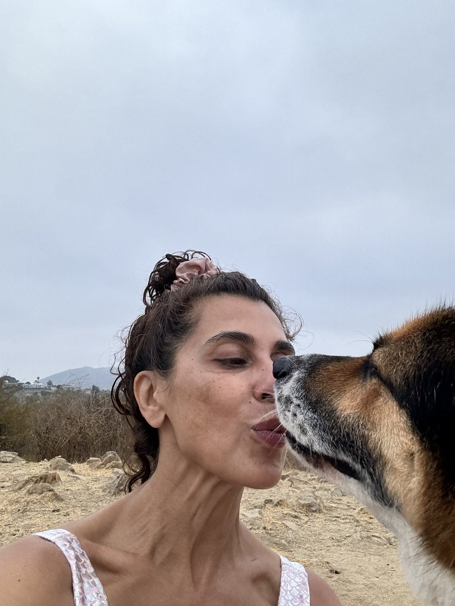 DrMarthaGulati's tweet image. Saturdays are for fun and catching up. And that means hiking at dawn with my #BinkelyLove &amp;amp; #Cocoloco up #runyoncanyon

Grateful to be home to get ready for #ESCCongress!
@DBelardoMD @netta_doc