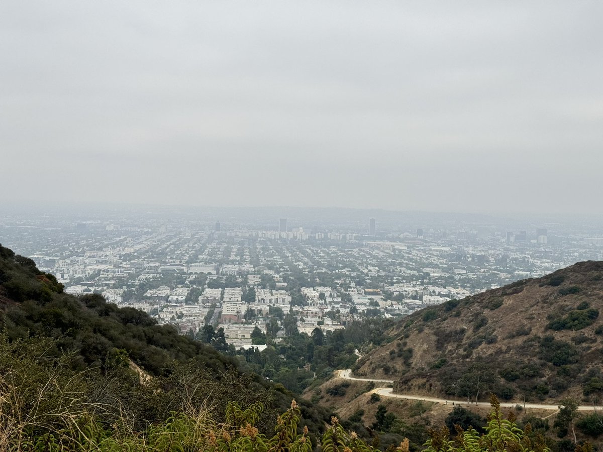 DrMarthaGulati's tweet image. Saturdays are for fun and catching up. And that means hiking at dawn with my #BinkelyLove &amp;amp; #Cocoloco up #runyoncanyon

Grateful to be home to get ready for #ESCCongress!
@DBelardoMD @netta_doc