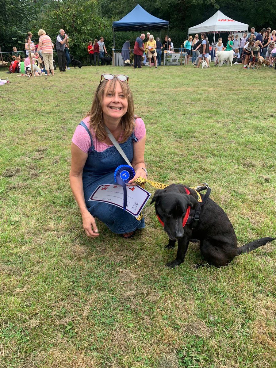 LittleMoRescuePup tweet media