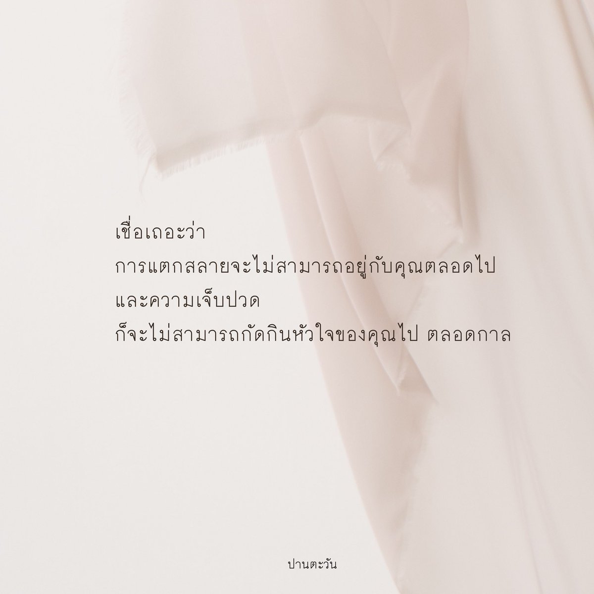 callmepantawan's tweet photo. เราตั้งใจเขียนมาก
และเราก็หวังว่าคุณจะอ่านมันจนจบ
ถ้าอ่านจบแล้วก็ยิ้มให้กับตัวเองบ้างนะคุณ

ฝันดีนะคนเก่ง . 🌻
.

#ปานตะวัน #บทความ #บทความฮีลใจ #เธรดหนังสือ #เธรดคลั่งรัก #เธรดความรู้สึก #เธรดความรู้สึก https://t.co/QdCKJaxmkj