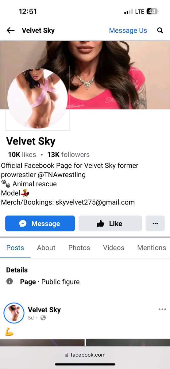 Velvet Sky tweet media