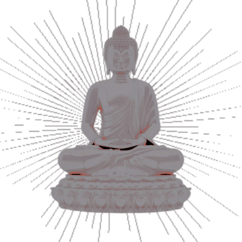 ࿇ 𝕴ꪶꪶυ𝑺𝑰O͜͡𝐍 𝓜𖦹𝐍͟𝐀͟𝐑͟𝐂͟𝐇 ‎ˏ`୭̥.❀ tweet media