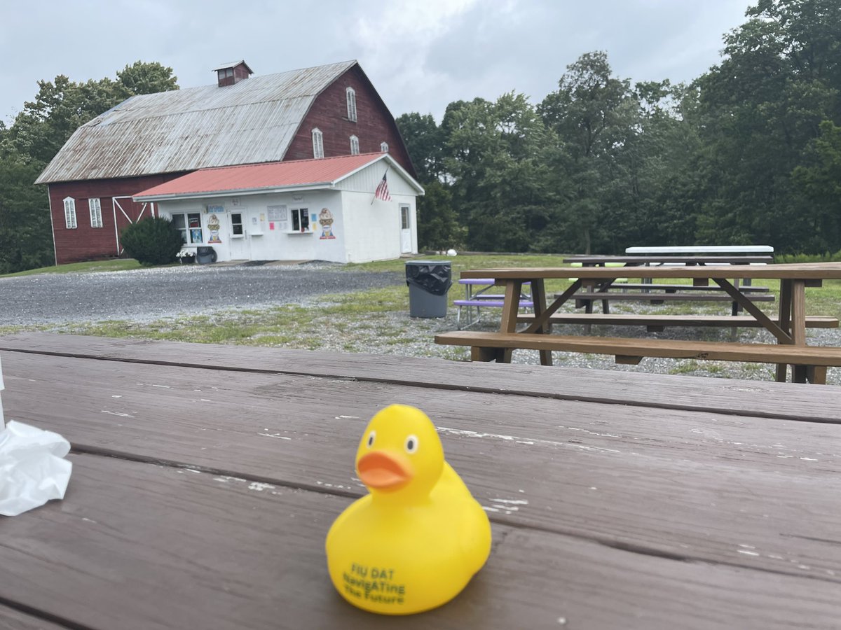 I don’t think we’re in Kansas any more, Ducky! My copilot has never seen so many hills &amp;roundabouts 🤢
Western PA wins for smoothest roads, tho! 
Dyk it’s illegal to sing in the tub, sleep on a refrigerator outdoors, &amp; catch a fish with your hands, mouth or feet in Pennsylvania?!