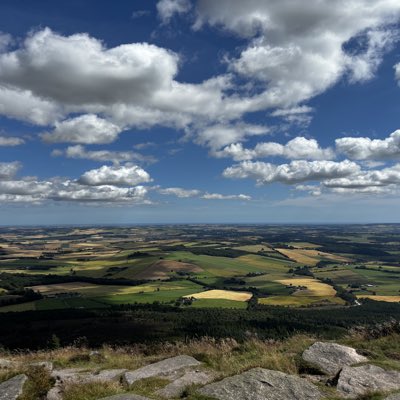 Feef23's tweet image. #NewProfilePic