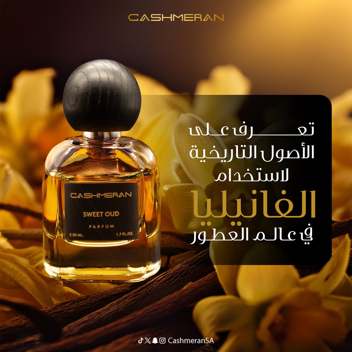 CashmeranSA's tweet photo. الأصول التاريخية لإستخدام الڤانيليا في عالم العطور https://t.co/poMVqoPz01