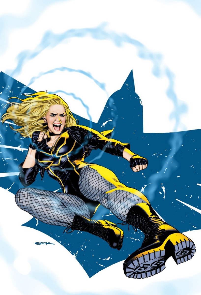 prettybirdll's tweet photo. Black Canary by Ryan Sook 🖤🔊🐦‍⬛ https://t.co/bCvCecp0F1