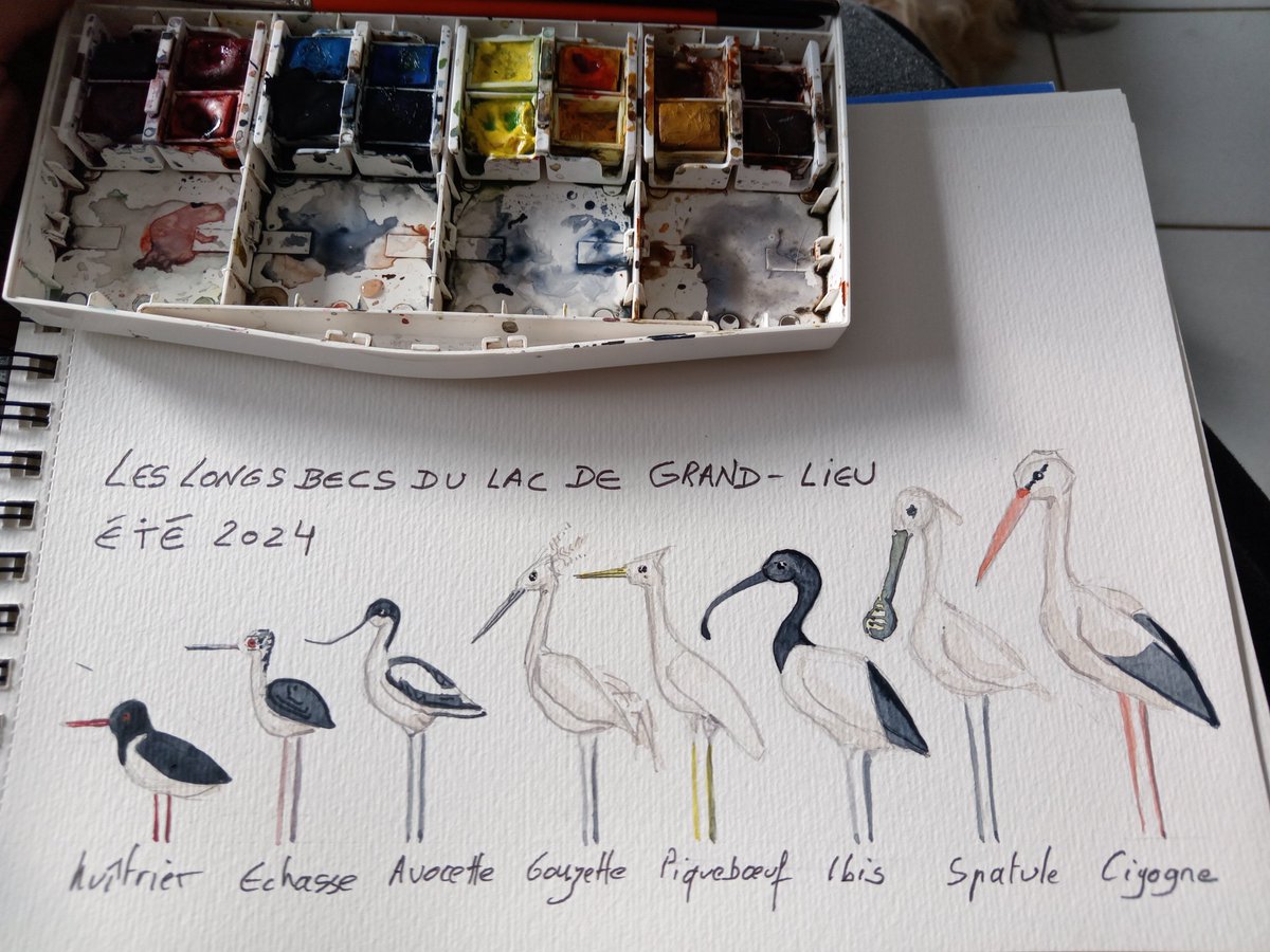 Mes belles rencontres !