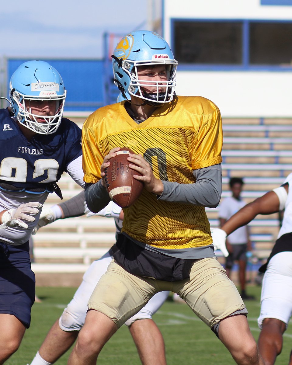 FLC Football tweet media