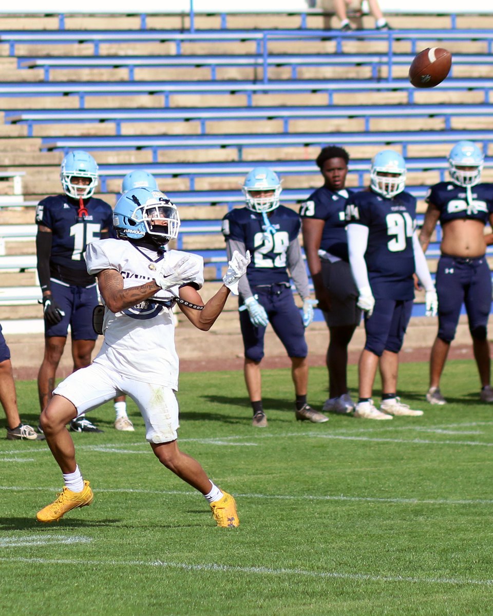 FLC Football tweet media