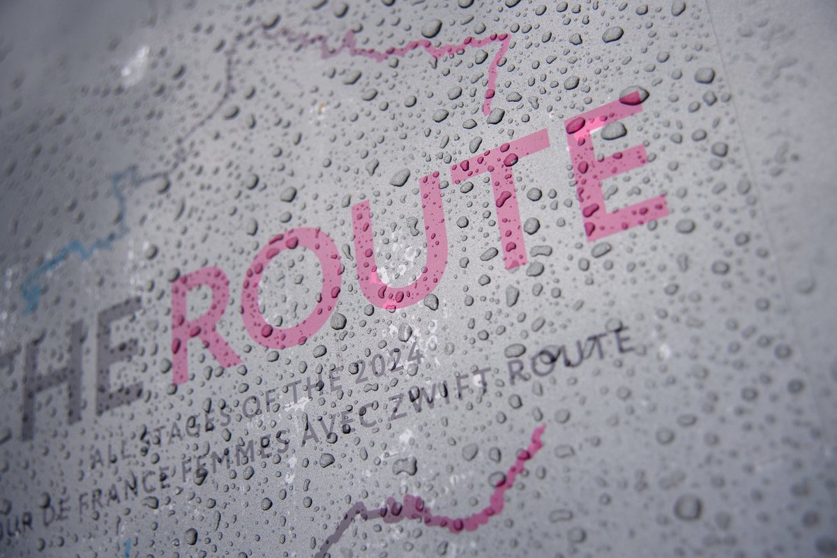 Ingrid Kane tweet media