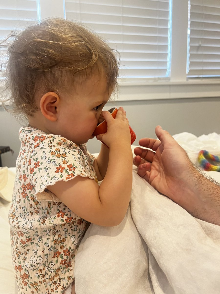 My 16mo old daughter is obsessed with <a href="/bettybuzz/">Betty Buzz</a> 😂 we mix it with Peach Waterloo and give it to her in a special mug.