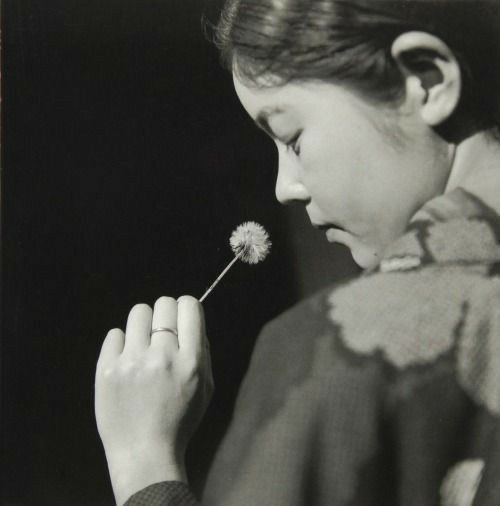 "Qué triste es el mundo, tan hermoso y tan absurdo".
"Suite francesa",  Irène Némirovsky