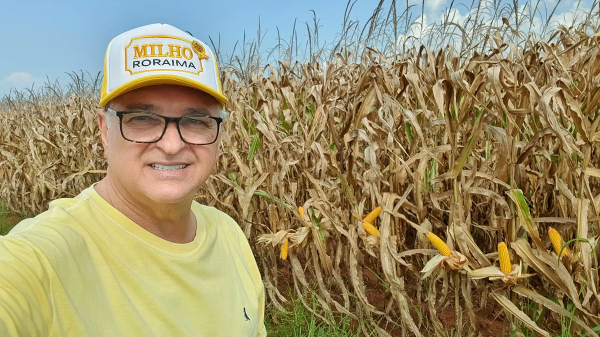 aluizionassi's tweet image. Showzaço o desenvolvimento do #Milho_Roraima no #Cerrado_Roraima.
*fotos iniciais 11/05 e de hoje 17/08, no mesmo local📍

#Roraima_HemisférioNorte
#Roraima_AMelhorFronteiraAgrícolaDoBRASIL 
#Agro_Roraima
#Roraima_SemIgual
#RoraimaEstadoLuz 🌞
#AtraçãoDeInvestimentos 🏁🏁🏁