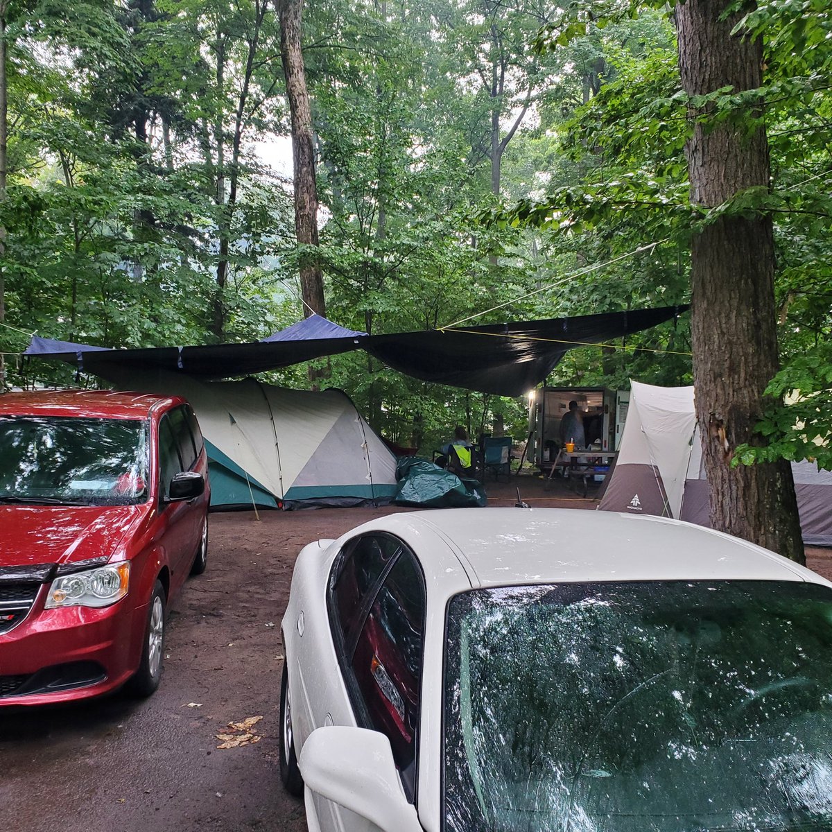 OcarinaSchief's tweet photo. Camp is setup. Just before the rain. Time for a fun week with @MariposaMaple
#Camping #Camp #North #Woods #Killbear #NationalPark #Forest #S10 https://t.co/Fy1BPzwVwg