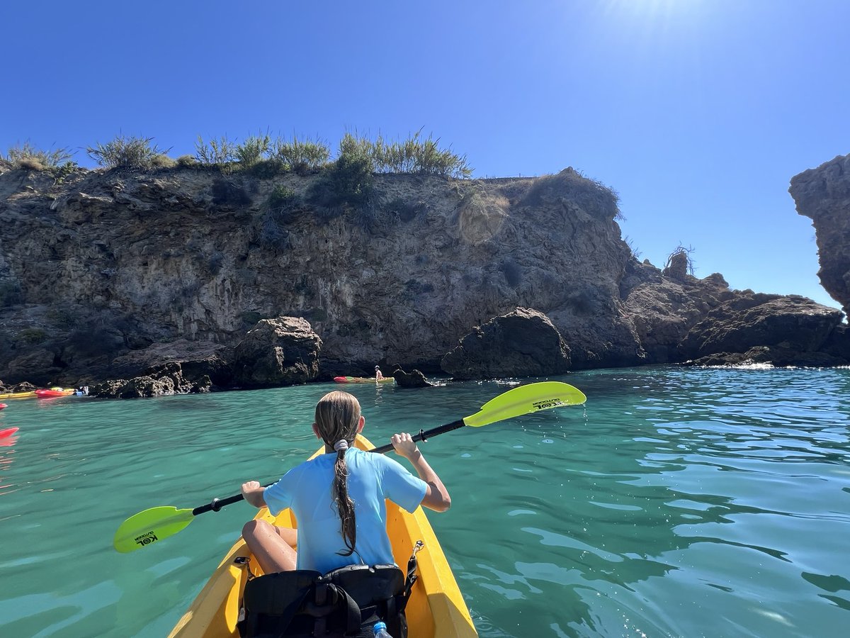 Amy Mallon tweet media