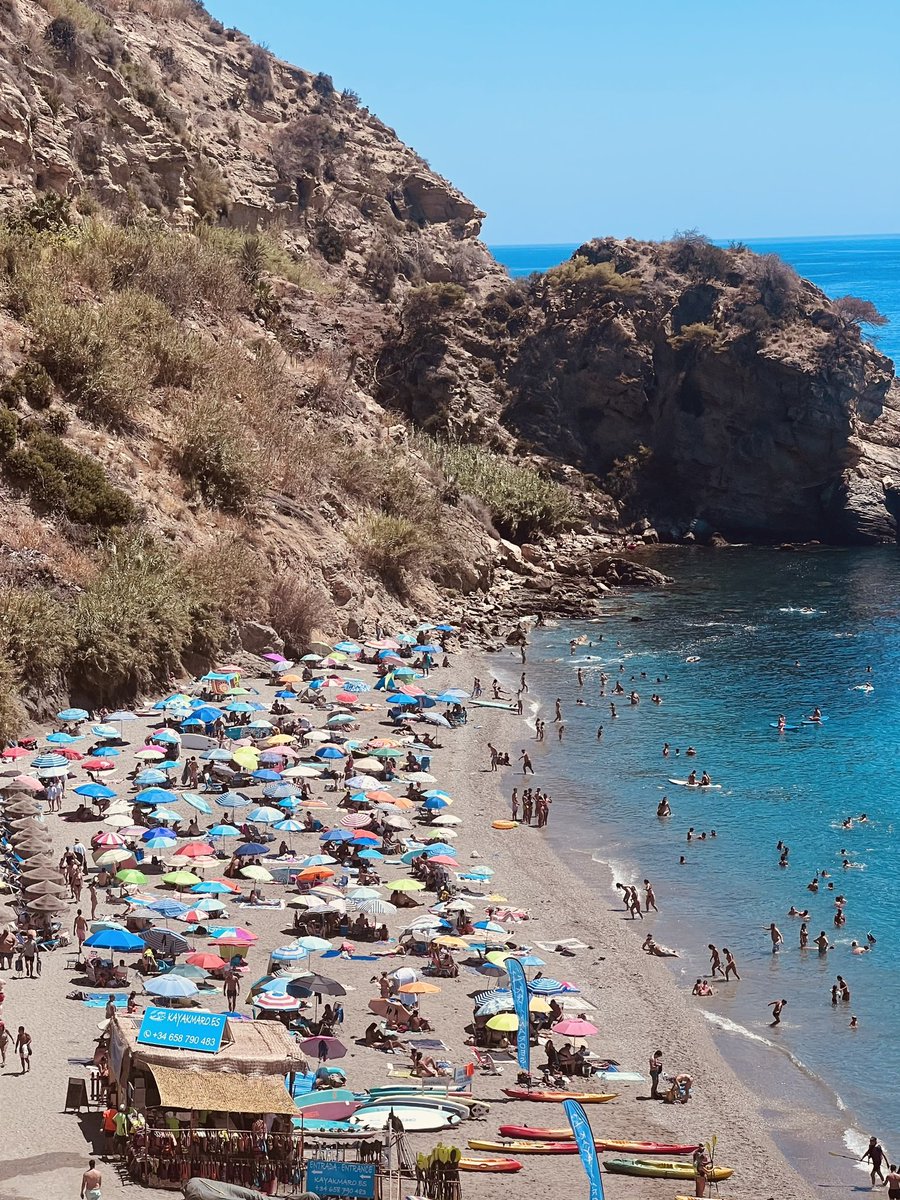 Amy Mallon tweet media