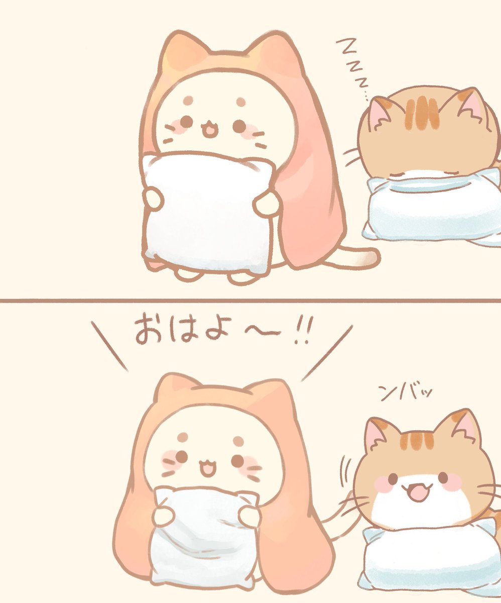 #おはようネコざめちゃん  おねんねこに先を越されたネコざめちゃん