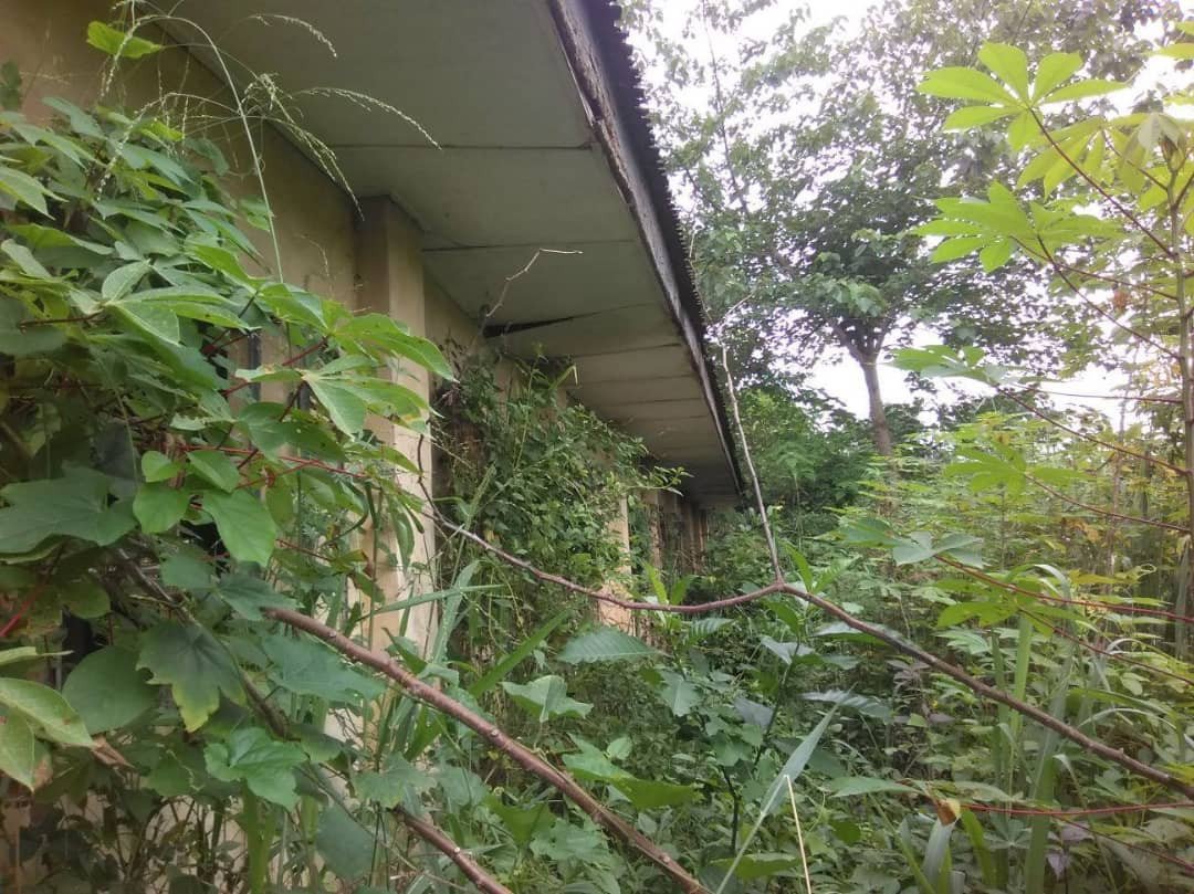 winexviv's tweet photo. This is Obizi Community secondary school in Ezinihite LGA, Imo state. Students will be resuming in this school this September. https://t.co/6YMuTk9C9d