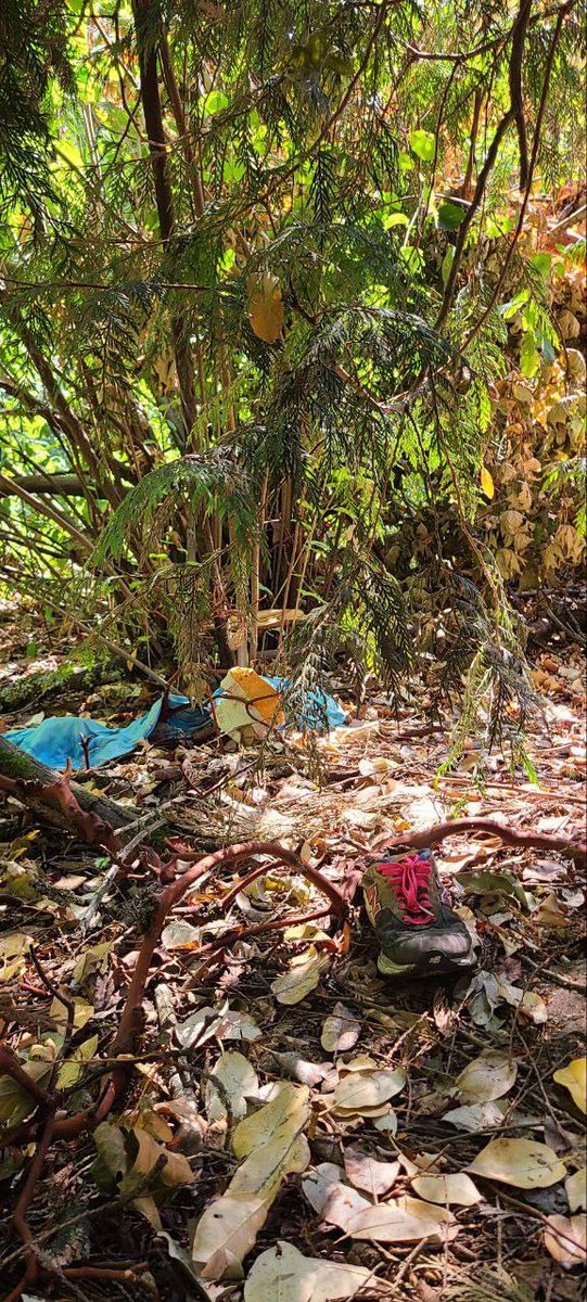 ACP_Washington's tweet image. The Washington Chapter cleaned up in two popular parks: Ravenna and Discovery. Both parks are affected by the ever-growing issues of Seattle's homelessness problem and the trash left behind.
Now the parks are clean and family friendly no matter where you walk.