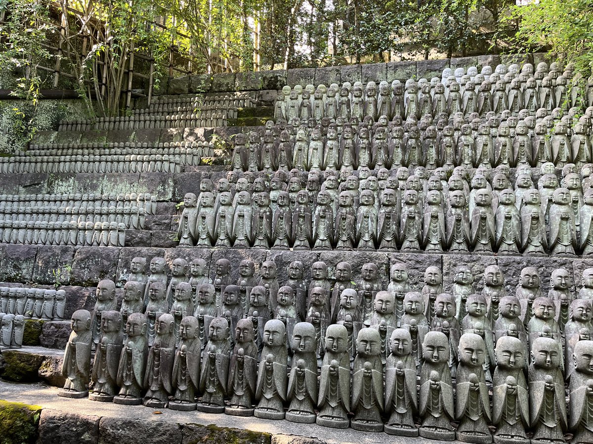 松井健人 (@matsui616) on Twitter photo 