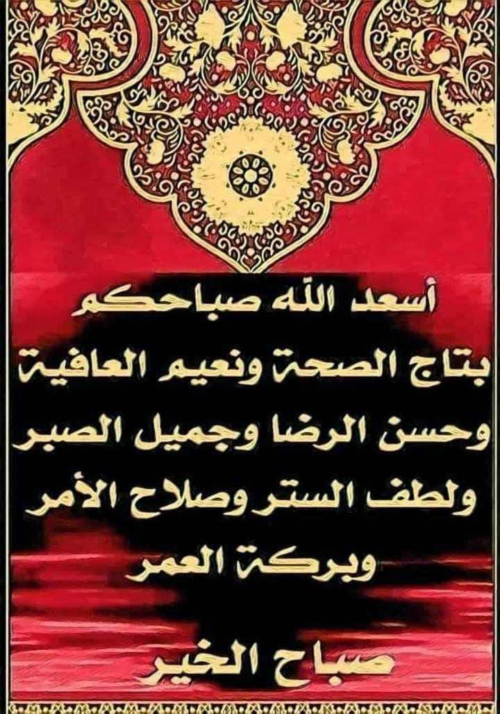 MostafaElward16's tweet photo. https://t.co/zZEqTNEpwX