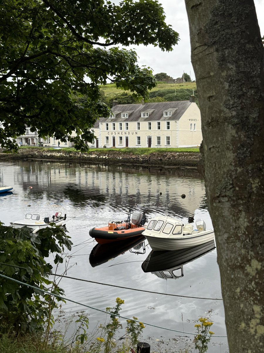 Eddie Crouch tweet media