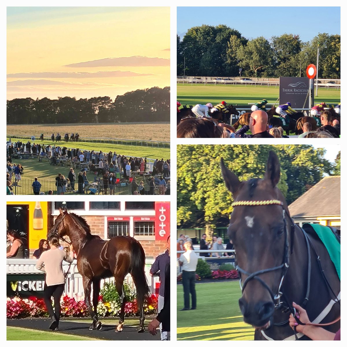 Beautiful evening <a href="/ThirskRaces/">Thirsk Racecourse</a> last night. 
Great atmosphere, and a couple of winners too!
<a href="/YorkshireRacing/">Go Racing in Yorkshire</a> 
<a href="/omeararacing/">David O'Meara</a> 
<a href="/GScottracing/">George Scott</a>