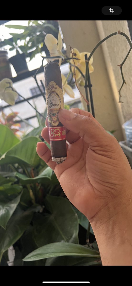 La galera. 85 Aniversario una exquisitez