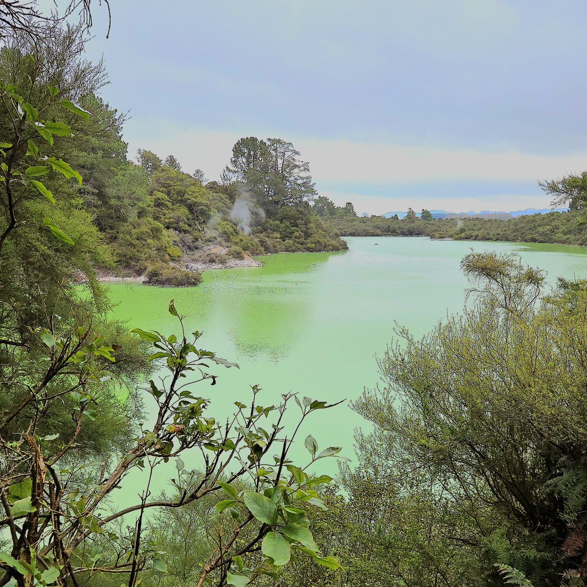 I'm currently travelling around New Zealand and really enjoying experiencing such an incredible and varied landscape.
This unbelievable green lake at Waiotapu (Māori for "sacred waters") is in an active geothermal area with naturally coloured springs and huge volcanic craters.