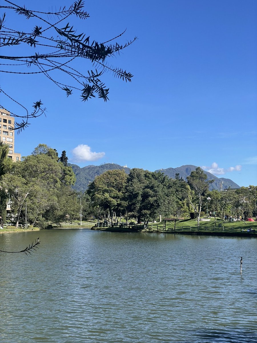 davidcapital_'s tweet photo. Parque de Los Novios, Bogotá D.C. 🇨🇴 https://t.co/6NMM0TsYp2