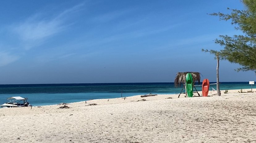 🫧⋆｡˚ tweet media