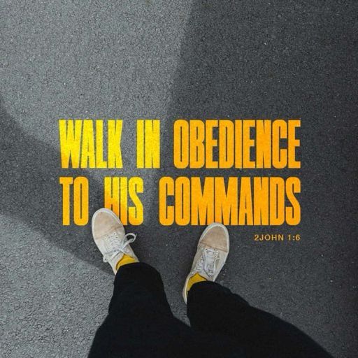 WindermerePres's tweet photo. The word of God for the people of God!  

——————

For more ways to connect with Windermere Presbyterian Church… 👇👇👇

Facebook:  https://t.co/fq1AvZpbo6

Instagram:  https://t.co/gSR7CAYnZM

Website:  https://t.co/8dNr3LkiDN

Directions:  https://t.co/rG5Aor2Q21 https://t.co/hl5wBnUBKd
