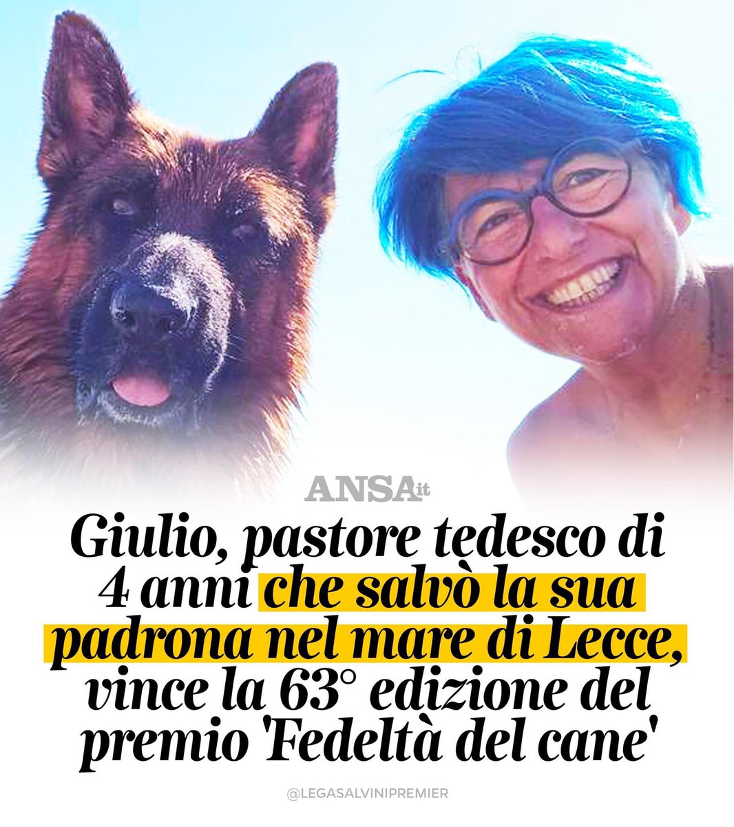 edorixi's tweet photo. Un eroe a quattro zampe! 🐾 Grazie a lui, la sua padrona è al sicuro. Un gesto che ci ricorda quanto i nostri cani siano speciali. 💖
#EroeAQuattroZampe #AmicoFedele" https://t.co/xQara8nslw