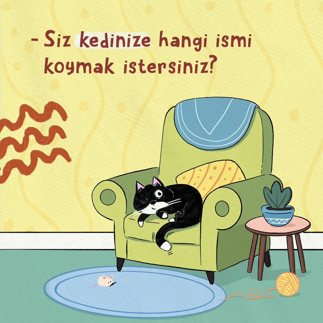 Hiç adı Tablet olan bir kedi gördünüz mü? 🐈