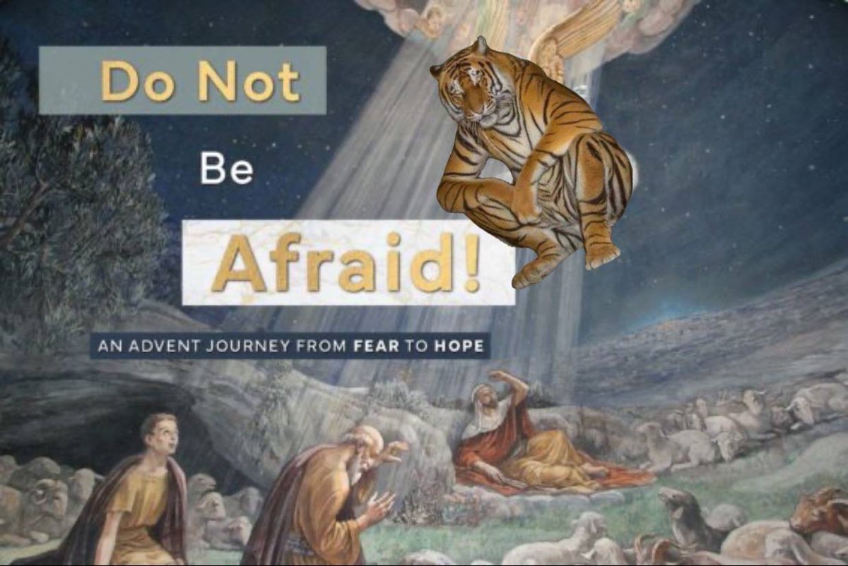 USDTiger's tweet image. Never fear, the tiger is here