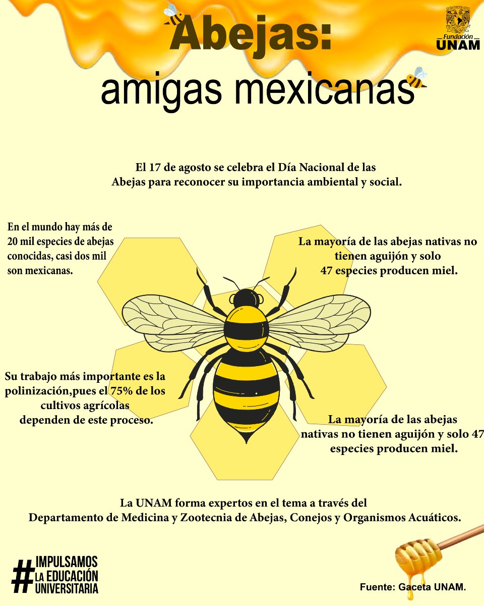¡Feliz #DíaInternacionalDeLasAbejas! 🐝🌸 Estas pequeñas trabajadoras son esenciales para la vida en la Tierra. 💛✨ Conoce más. 👇