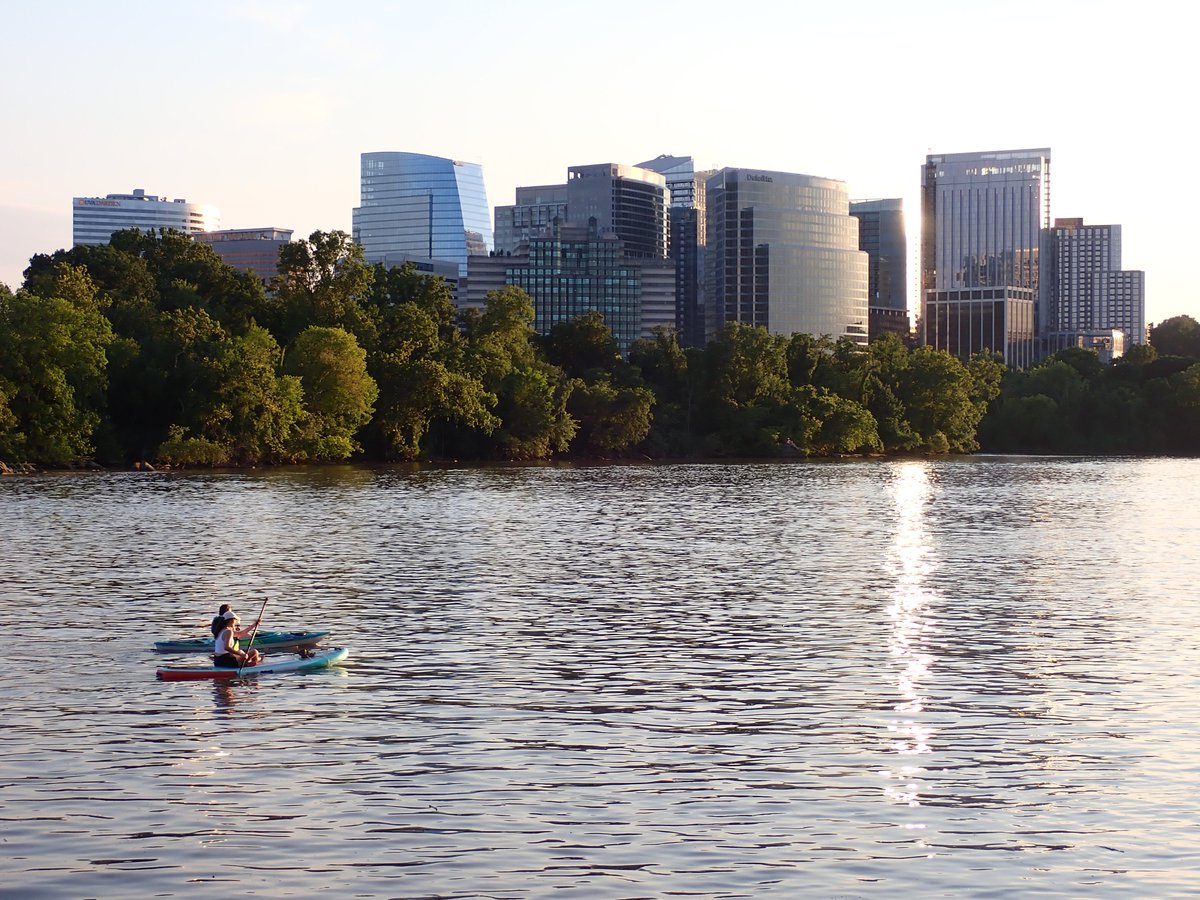 Ken Budd tweet media