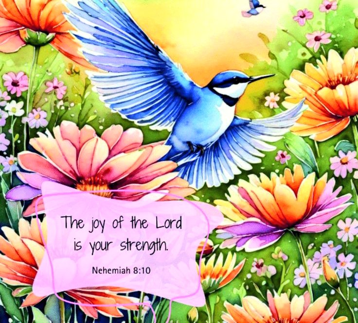 🦜Phoenix & Sage Conure🎀 (@amazinglyjordan) on Twitter photo 