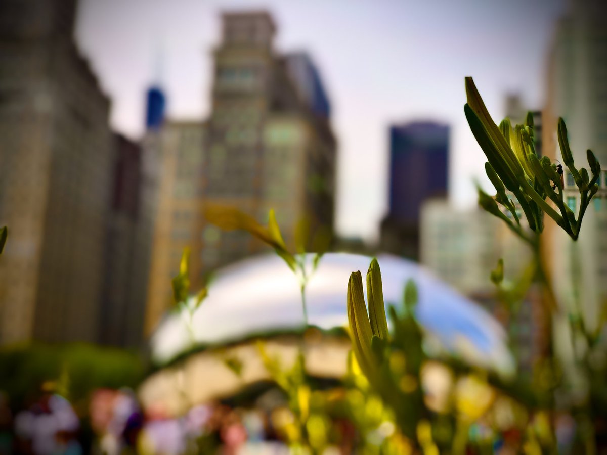 litolits's tweet photo. Chicago, you are one of the best!
People are so busy, but yet so polite!
City is big & so active, but yet so neat!
You are one of a kind! @chicago 🇺🇸 

#Chicago #BeautifulCity #USA
#SimpleImage #iPhoneOnly
#WalkingAroundChicago #LatePost
#NaturallyCurious #VisitMidwest
#FlyClickEditRepeat