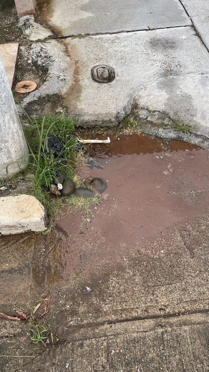dimasarmando29's tweet photo. @311Panama tubería botando agua por meses en Villas de camino Real san Antonio calle Herrera . Auxilio @IDAANinforma 
@BrisasdelGolf @vecinosdebrisas https://t.co/SqmZLkaqqy