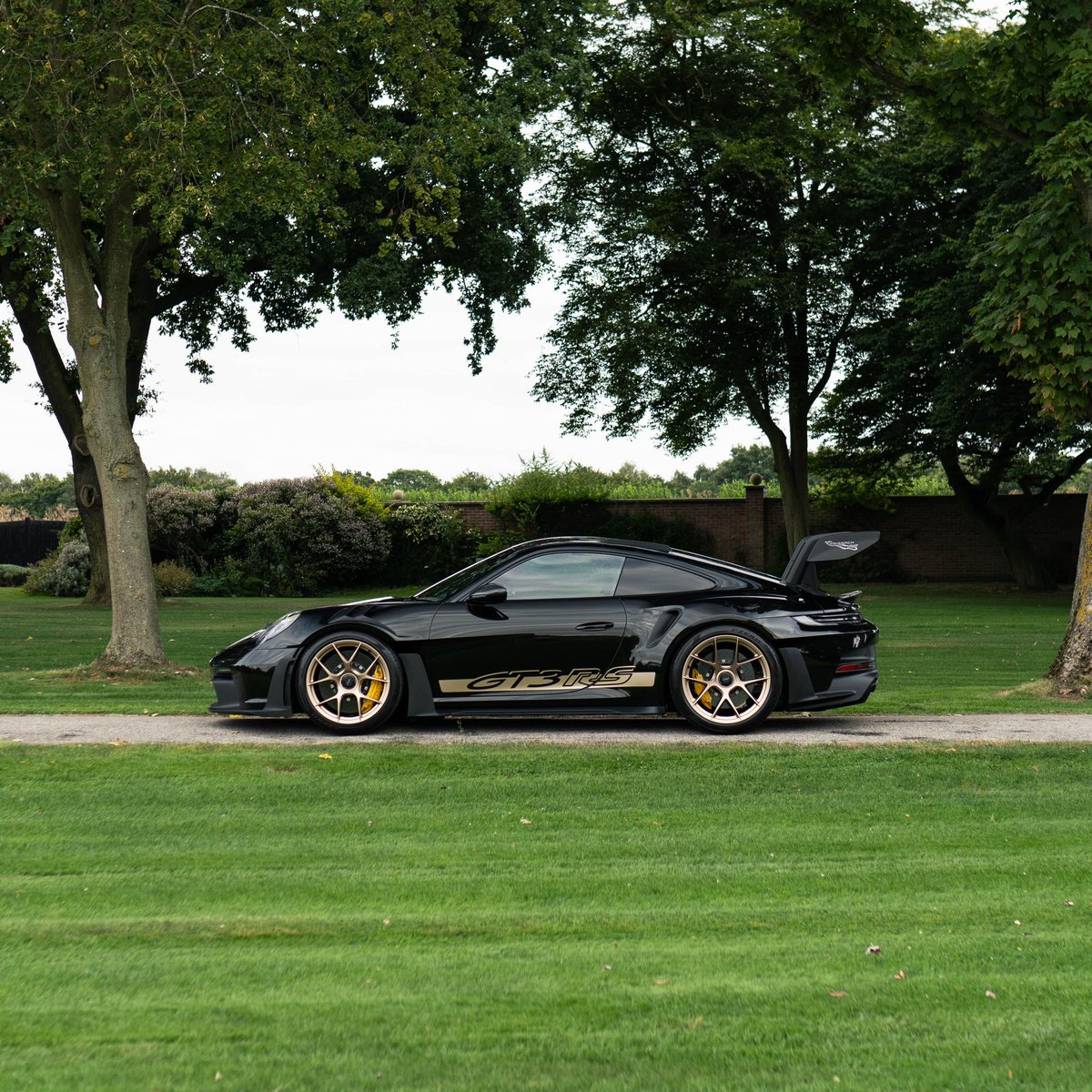 David Thompson tweet media