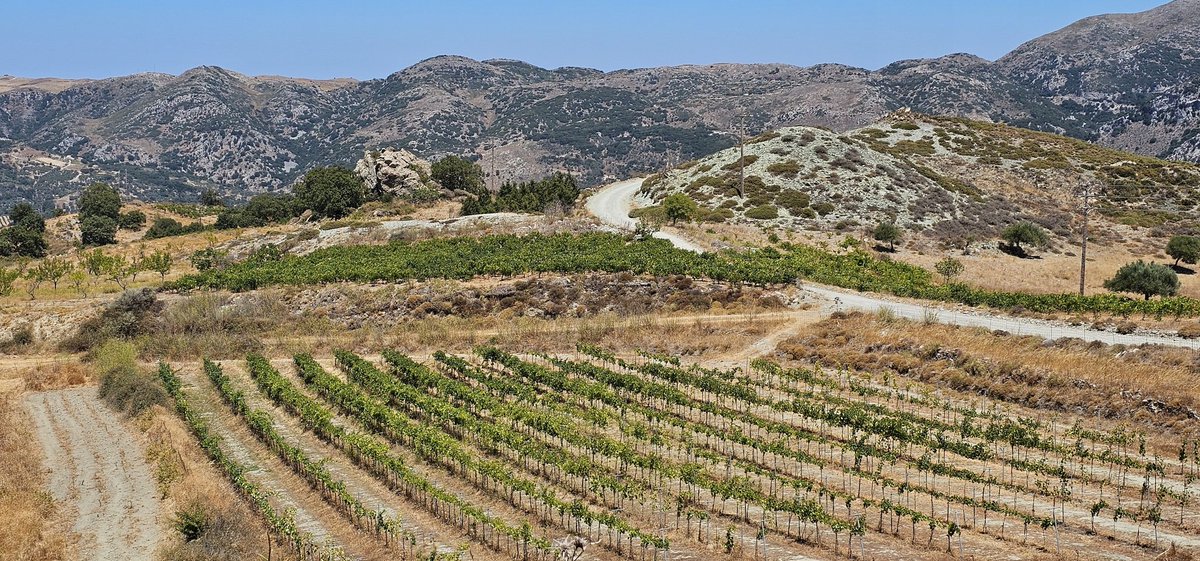 GreekIHopping's tweet image. Stunning panoramic views of the #Cretan countryside high up in the mountain pass.