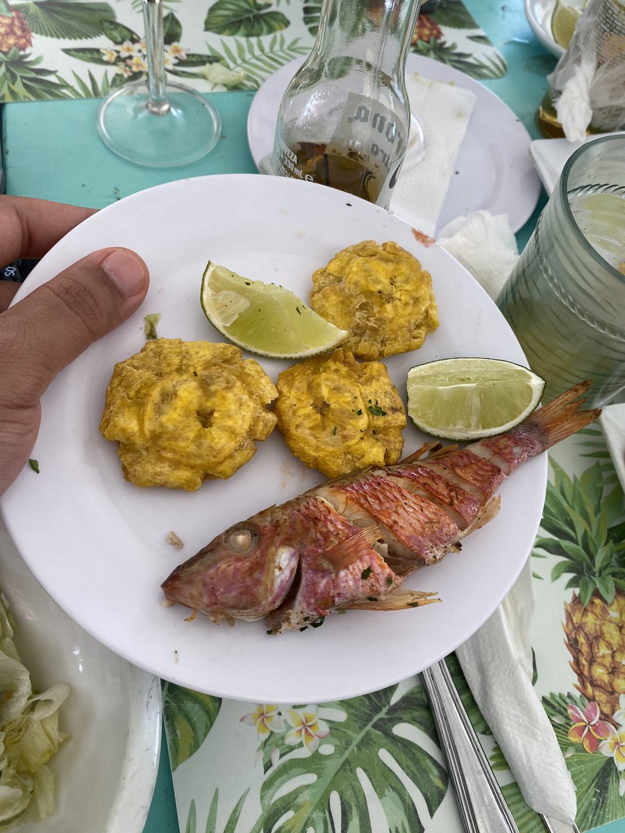 raulgonzalezrd's tweet photo. Excelente servicio de pescado en Juan Dolio $4,500 https://t.co/dWaNsVuEJ7