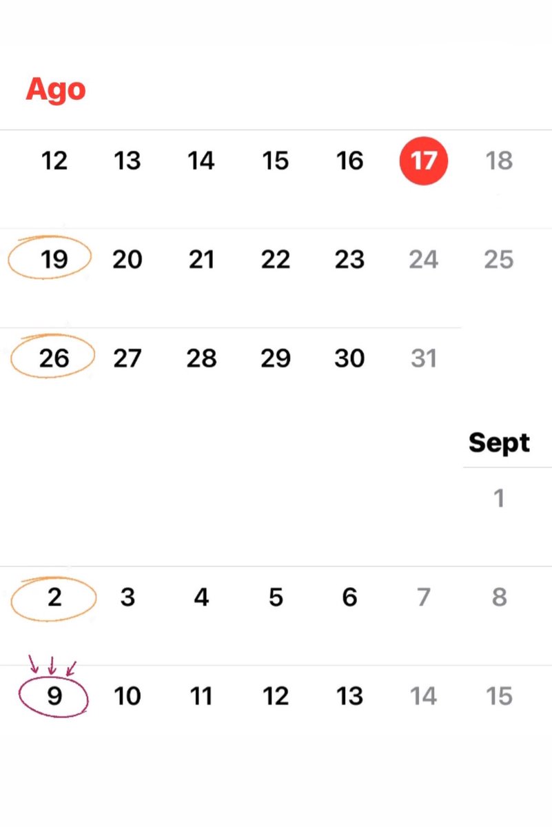 Important News!🚨Order your banner anytime, but due to high demand, we're processing orders in batches on:

Aug 19 &amp; 26
Sep 2 &amp; 9

Orders by Sep 9 may not arrive in time for the festival, so order or customize now.

🔔 Note:No shipments in October. The account will remain active.