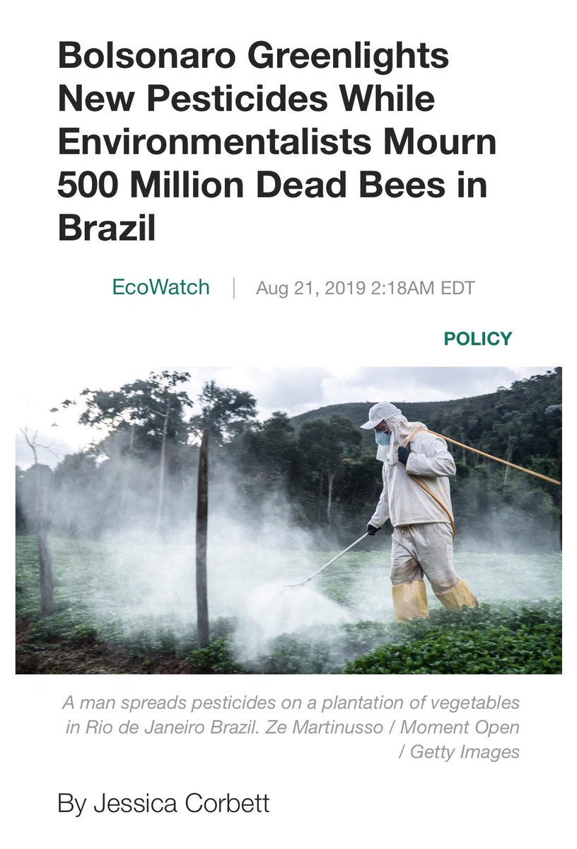 DALIA MALEK ☥ tweet media