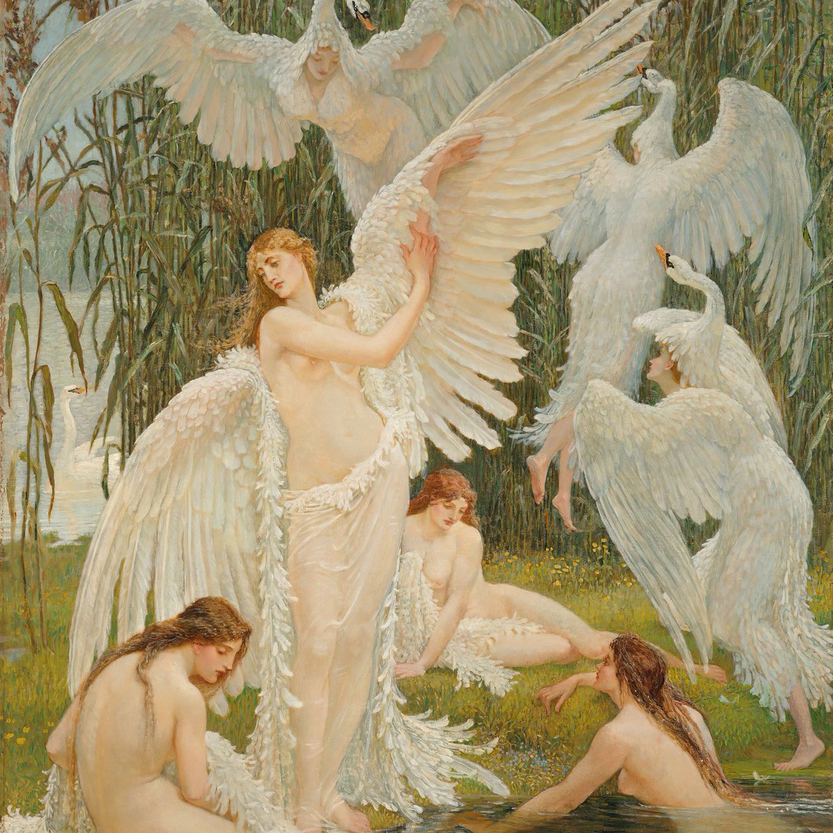 ʚ mai ɞ tweet media