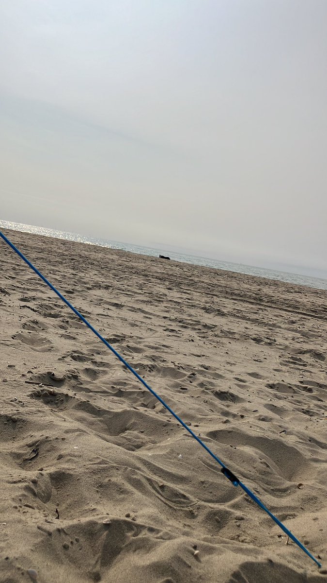 In de zandbak. Aan zee. Man en Dex mee.