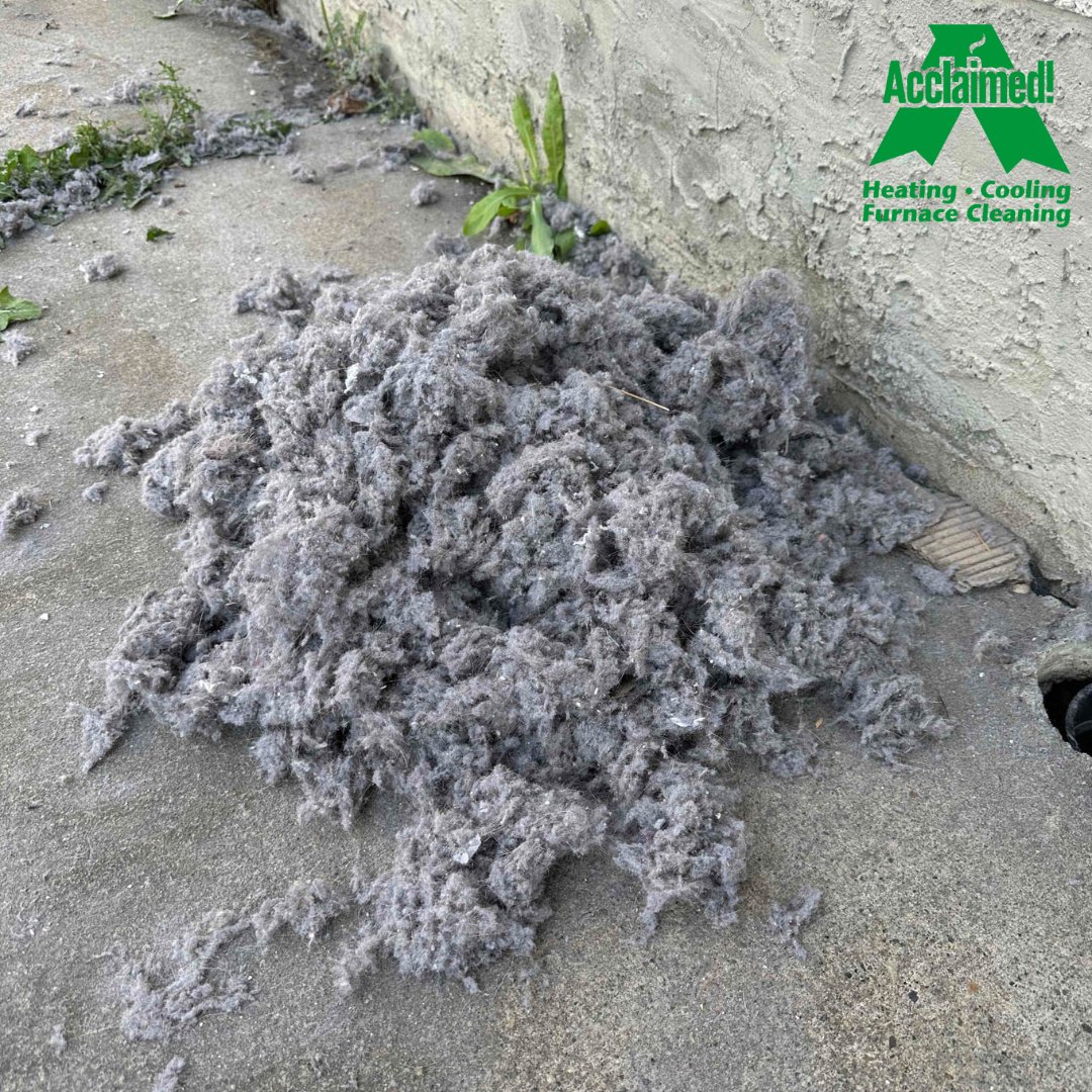 Isn't it oddly satisfying to see all the dryer lint we pull out? 😅 It's like a weirdly fluffy reminder that your dryer is now breathing easy! 

#homeimprovement #construction #contractor #renofind #baulmerapproved #CCI #CCINorth
#yeg #yeglocal #yegbusiness #alberta