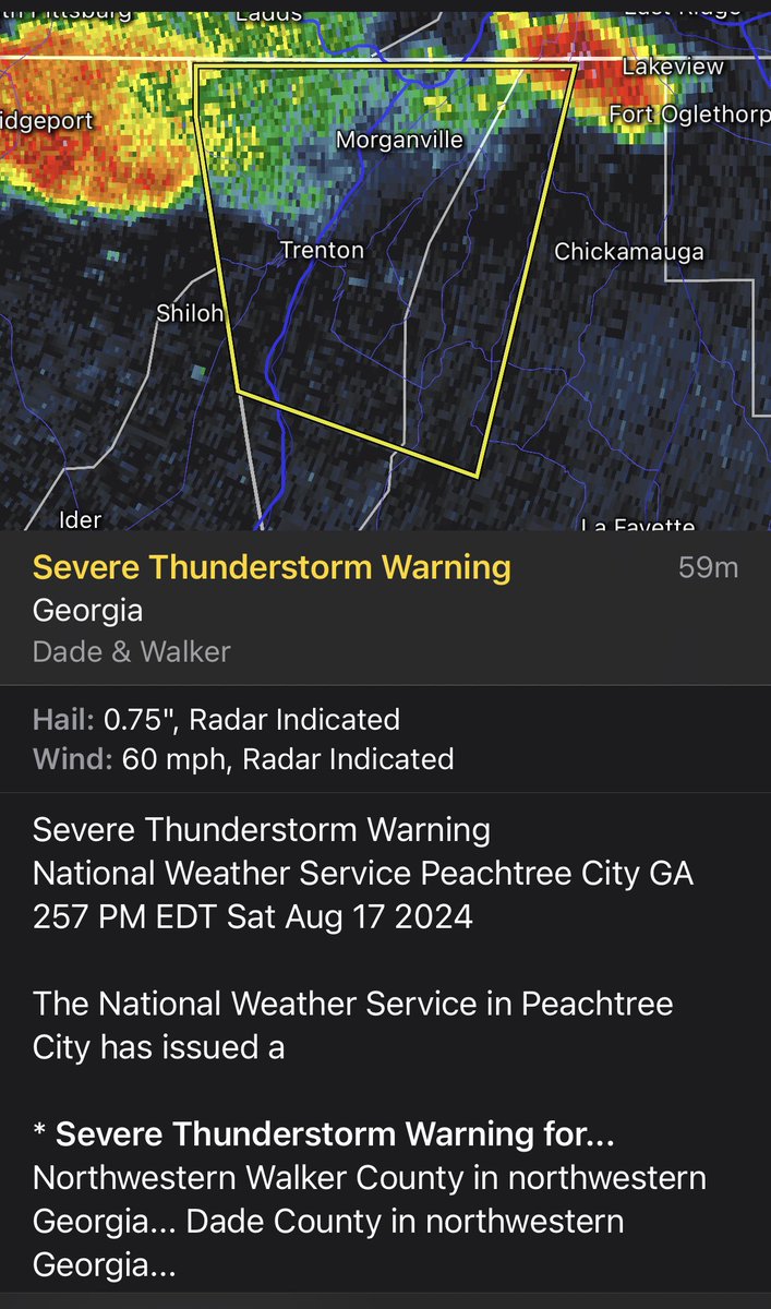 StormTrack9Dave's tweet photo. Weather Alert:  Saturday 3pmET

Numerous Severe Thunderstorm Warnings locally as storms rapidly develop and moving to the east.

Damaging gusts, heavy downpours &amp; frequent lightning possible. #CHAwx #Chattanooga https://t.co/7xxK49zpdV