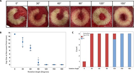 🚨Latest #Europace  #EPeeps 

Application Repetition and Electrode-Tissue-Contact Results in Deeper Lesions Using a #PFA circular catheter

📚👉 doi.org/10.1093/europa…

<a href="/GiulioConte9/">Giulio Conte</a> <a href="/FraSantoroMD/">Francesco Santoro, MD, PhD</a> <a href="/marcovitoloMD/">Marco Vitolo Ⓜ️</a>  <a href="/Dominik_Linz/">Dominik Linz</a> <a href="/MBergonti/">Marco Bergonti</a> <a href="/AndyZhangMD/">Xiaodong Zhang (Andy), MD, PhD, FHRS, FACC</a> <a href="/LuigiDiBiaseMD/">Luigi Di Biase</a> <a href="/natale_md/">Andrea Natale MD</a>